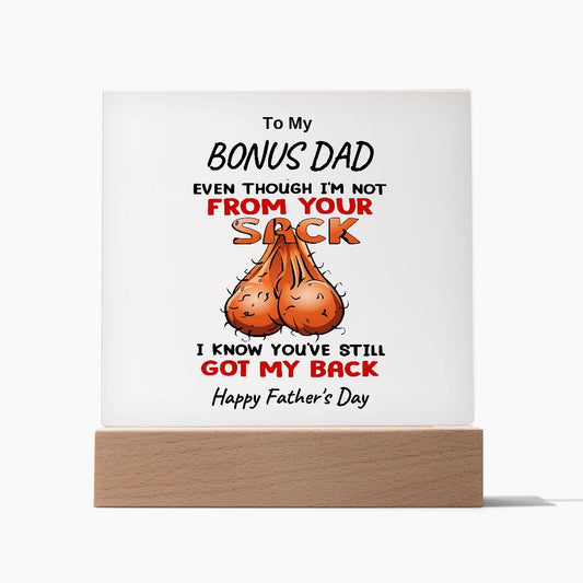 To My Bonus Dad | You've Still Got My Back |Funny Humor | Acrylic Plaque